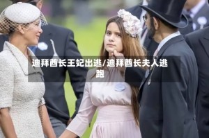 迪拜酋长王妃出逃/迪拜酋长夫人逃跑