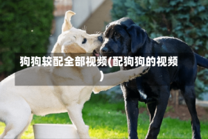 狗狗较配全部视频(配狗狗的视频)