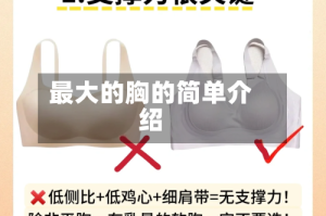 最大的胸的简单介绍