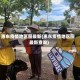 惠东疫情地区图最新(惠东疫情地区图最新查询)