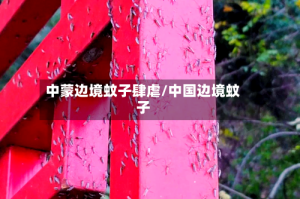中蒙边境蚊子肆虐/中国边境蚊子