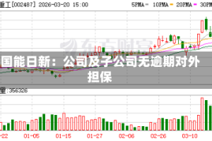 国能日新：公司及子公司无逾期对外担保