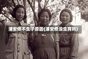 浦安修不生子原因(浦安修没生育吗)