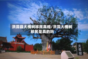 洪洞县大槐树移民真相/洪洞大槐树移民是真的吗