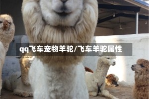 qq飞车宠物羊驼/飞车羊驼属性