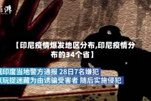 【印尼疫情爆发地区分布,印尼疫情分布的34个省】