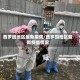 西罗园地区最新疫情/西罗园地区最新疫情情况