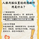 好人体图片/人体图片及名称 结构图