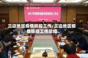 三边地区疫情防控工作/三边地区疫情防控工作总结