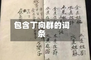 包含丁向群的词条