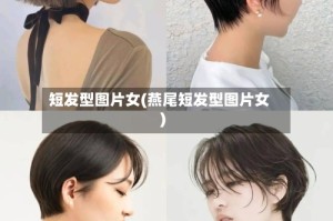 短发型图片女(燕尾短发型图片女)