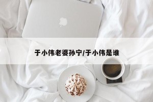 于小伟老婆孙宁/于小伟是谁