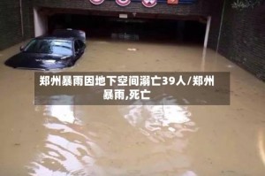 郑州暴雨因地下空间溺亡39人/郑州暴雨,死亡