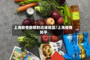 上海疫情断粮的边缘地区/上海疫情 知乎