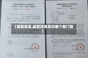 【城管改革,城管改革后归哪个部门管】