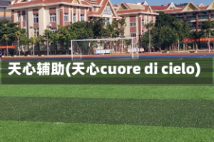天心辅助(天心cuore di cielo)