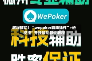 教程辅助！“wepoker辅助插件”+透视挂”开挂辅助软件教程