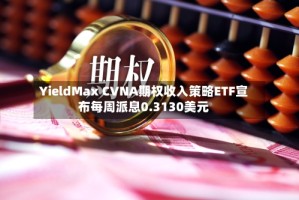 YieldMax CVNA期权收入策略ETF宣布每周派息0.3130美元