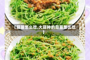【蒜苗怎么吃,大蒜种的蒜苗怎么吃】