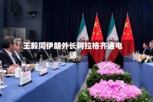 王毅同伊朗外长阿拉格齐通电话