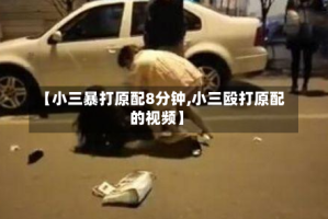 【小三暴打原配8分钟,小三殴打原配的视频】