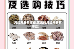 【贝类海鲜有哪些,常见的贝类海鲜有哪些】