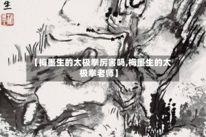 【梅墨生的太极拳厉害吗,梅墨生的太极拳老师】