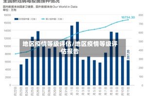 地区疫情等级评估/地区疫情等级评估报告