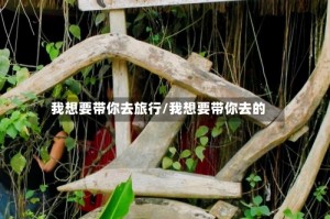 我想要带你去旅行/我想要带你去的