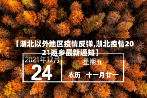 【湖北以外地区疫情反弹,湖北疫情2021返乡最新通知】
