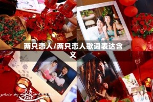 两只恋人/两只恋人歌词表达含义