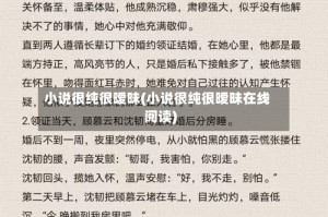 小说很纯很暧昧(小说很纯很暧昧在线阅读)