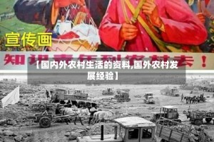 【国内外农村生活的资料,国外农村发展经验】