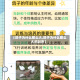 【鸽子为什么那么大,鸽子为什么那么大的叫声】