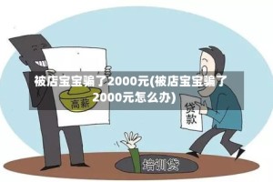 被店宝宝骗了2000元(被店宝宝骗了2000元怎么办)