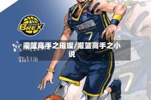 灌篮高手之璀璨/灌篮高手之小说