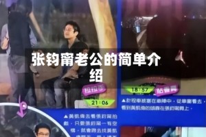 张钧甯老公的简单介绍