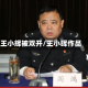 王小辉被双开/王小晖作品
