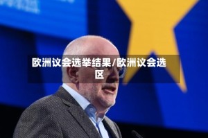 欧洲议会选举结果/欧洲议会选区