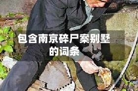 包含南京碎尸案别墅的词条