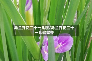 马兰开花二十一儿歌/马兰开花二十一儿歌完整