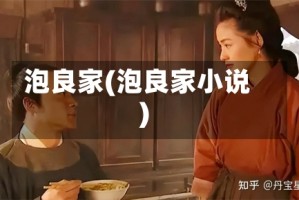 泡良家(泡良家小说)