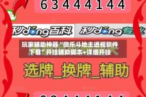 玩家辅助神器“微乐斗地主透视软件下载”开挂辅助脚本+详细开挂