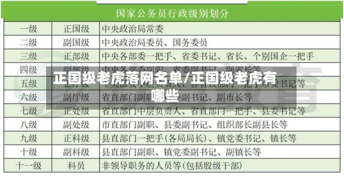 正国级老虎落网名单/正国级老虎有哪些-第3张图片