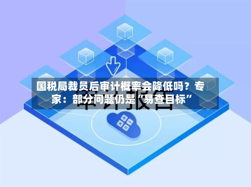 国税局裁员后审计概率会降低吗？专家：部分问题仍是“易查目标”-第3张图片