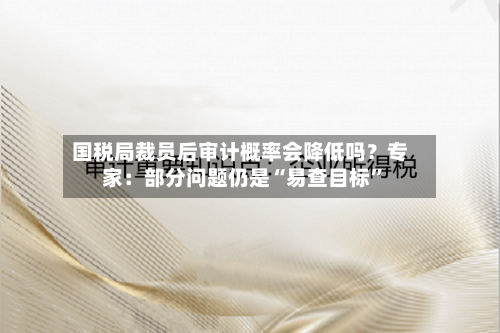 国税局裁员后审计概率会降低吗？专家：部分问题仍是“易查目标	”-第2张图片