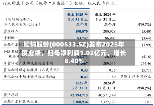 顺钠股份(000533.SZ)发布2025年度业绩，归母净利润1.02亿元	，增长8.40%-第1张图片