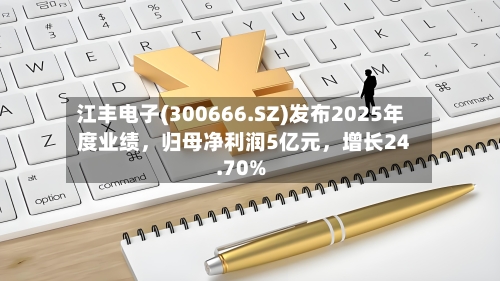 江丰电子(300666.SZ)发布2025年度业绩，归母净利润5亿元，增长24.70%-第1张图片
