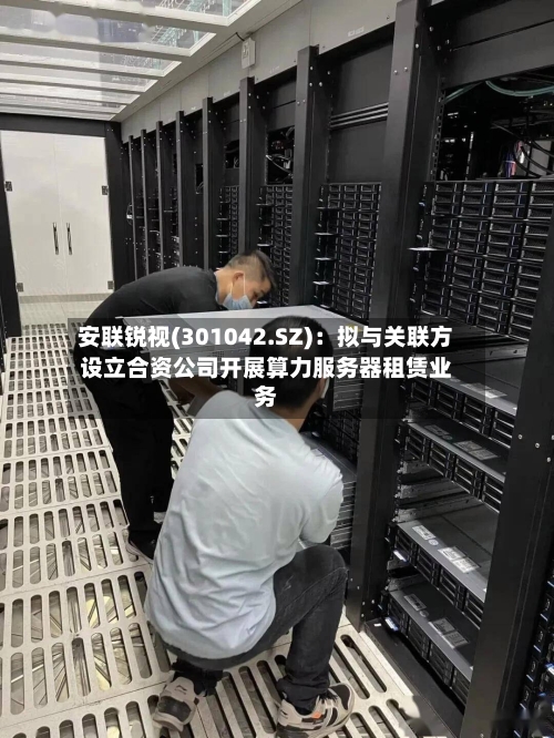 安联锐视(301042.SZ)：拟与关联方设立合资公司开展算力服务器租赁业务-第1张图片
