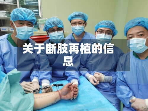 关于断肢再植的信息-第2张图片
